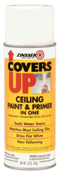 Zinsser Covers Up Ceiling Paint and Primer