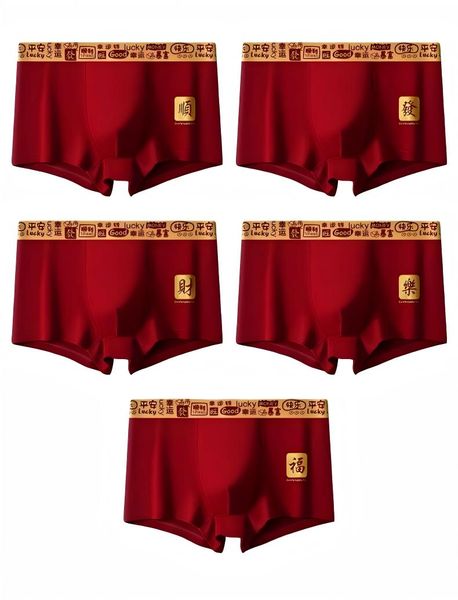 5 Pack Men's Underwear