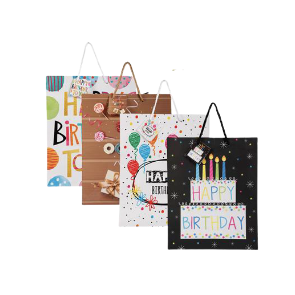 Stationery- Birthday Gift Bags Large