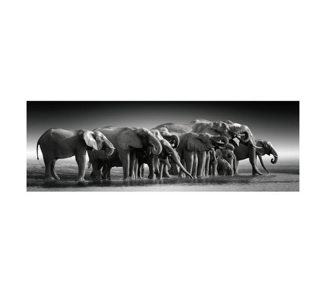Elephant Family Canvas Print - Grey (400 x 1200mm)