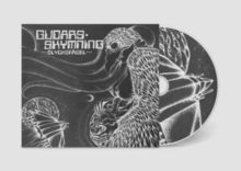 Olycksfågel (Vinyl / 12" Album)