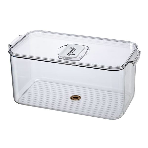 Fridge storage container with lid (4116M)