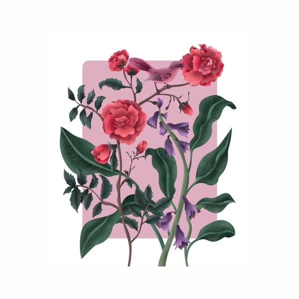 Pink daisy Roses Abstract - Abstract - A1 poster