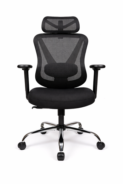 Premium Ergonomic Mesh Office Chair with Headrest &amp; Lumbar Support - Silver