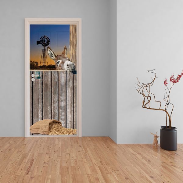 Donkey Windmill Door image