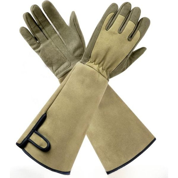 Anti-Thorn Gardening Gloves for Rose Pruning, Forearm Protection Green