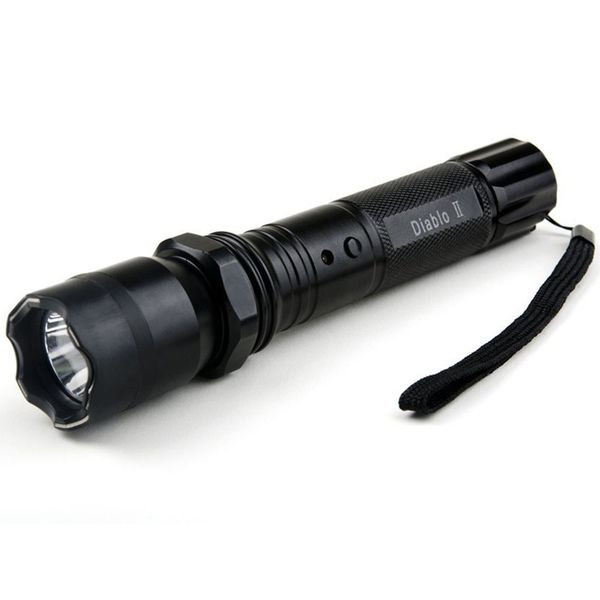 Flashlight and Stun Gun