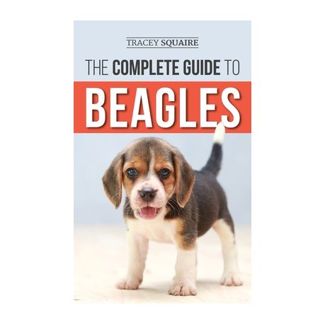 beagle puppy online