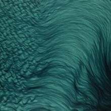 Volutes (Vinyl / 12" Album)