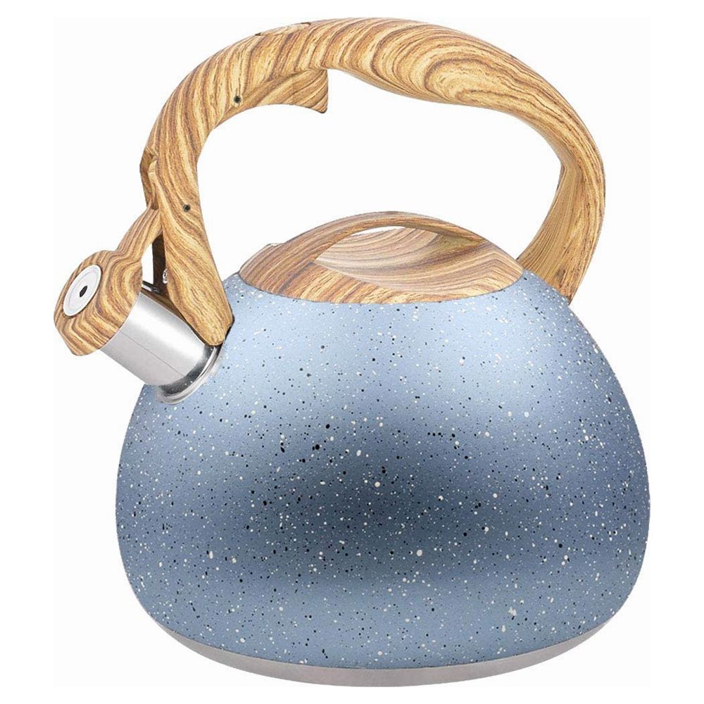 Dream Home Stainless Steel Whistling Tea Kettle with Wooden Handle 3