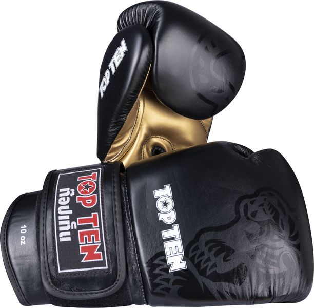 Top Ten Boxing Gloves Ajarn