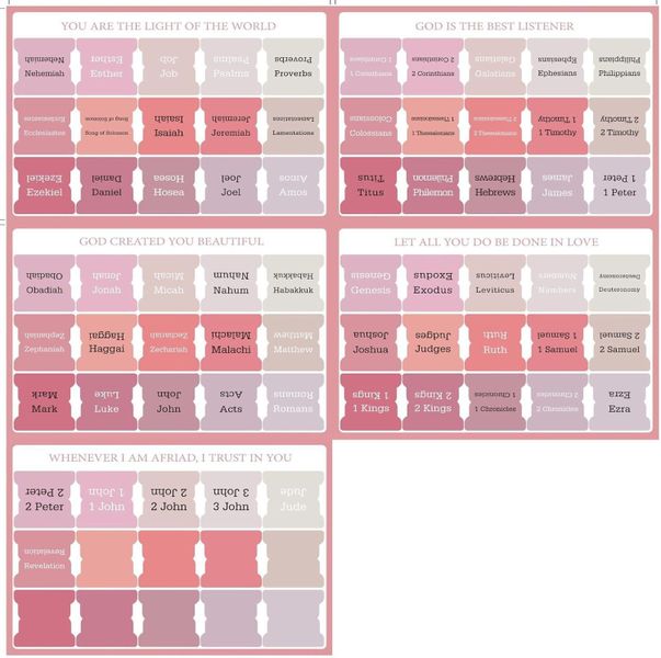 Pink - colored Bible Index Stickers Set (5 - piece)