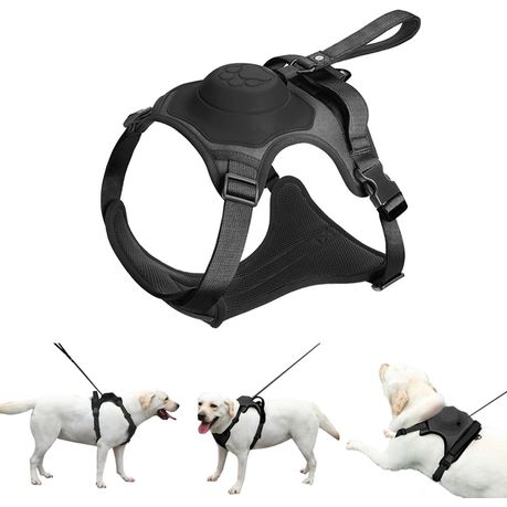 All in one cheap dog harness and leash