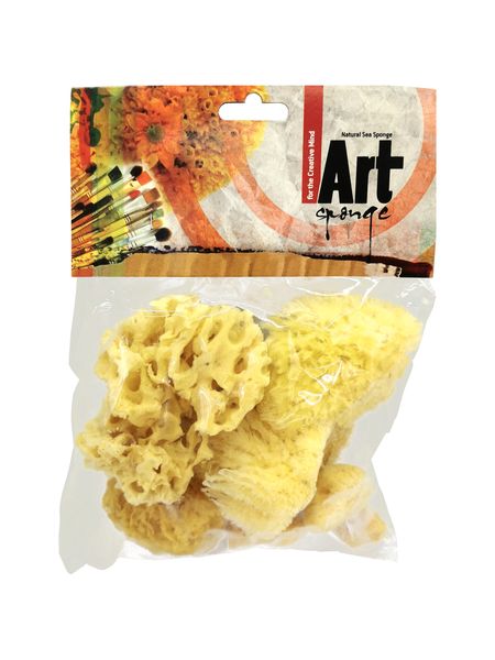 Natural Artist's Sponges Large Variety Pack