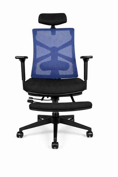 Lumbar Support &amp; Footrest - Blue image