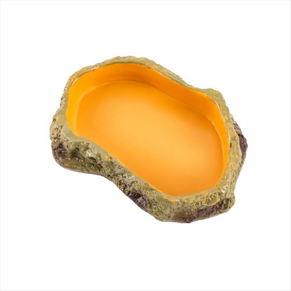 Reptile Feeding Bowls Terrarium Plate for Frog Tortoise Xs