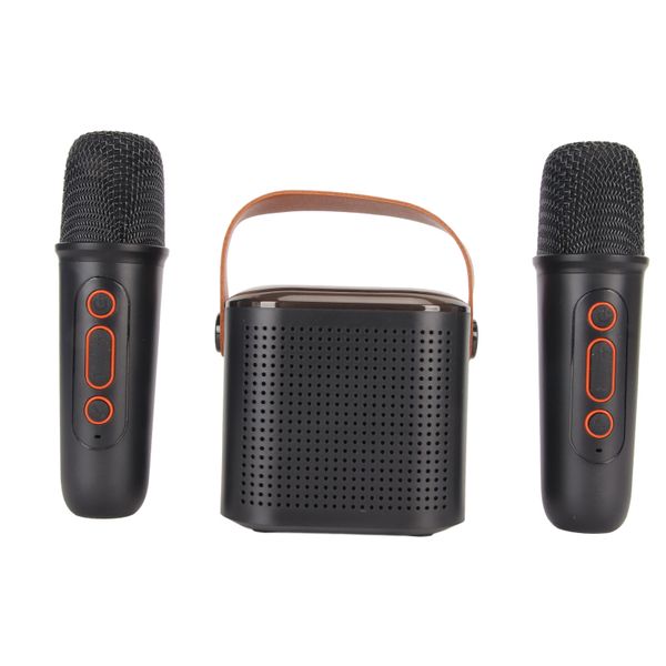 Mini Karaoke Machine, 2 Mics, Black