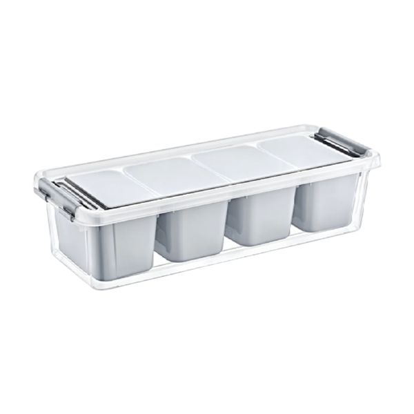 Container 3.5L 14X36.5X9Cm 4 Compartment Grand Organiser Box Bpa Free