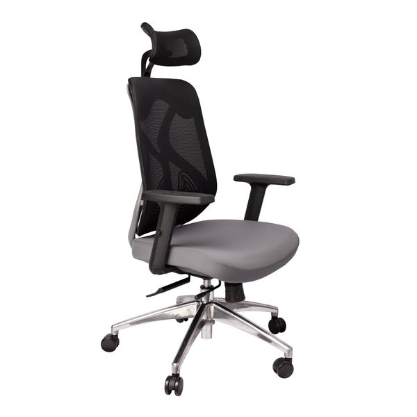 WP Ergonomic Adjustable Office Chair - Black