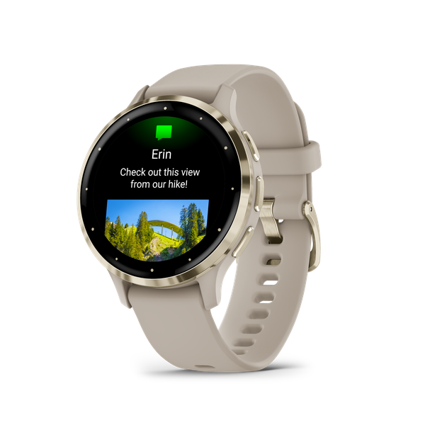 Garmin Venu 3S: Soft Gold Stainless Steel Bezel French Grey Case and Silicone Band
