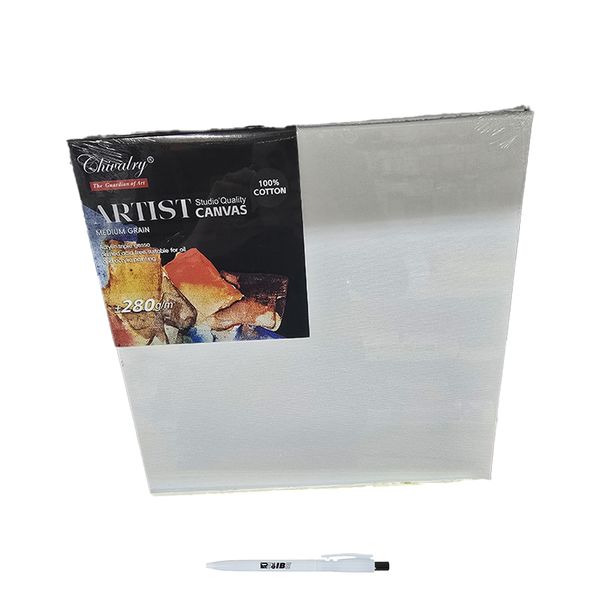 Studio Quality 20X25Cm Medium Grain Cotton Oil &amp; Acrylic Canvas +ReVibe Pen