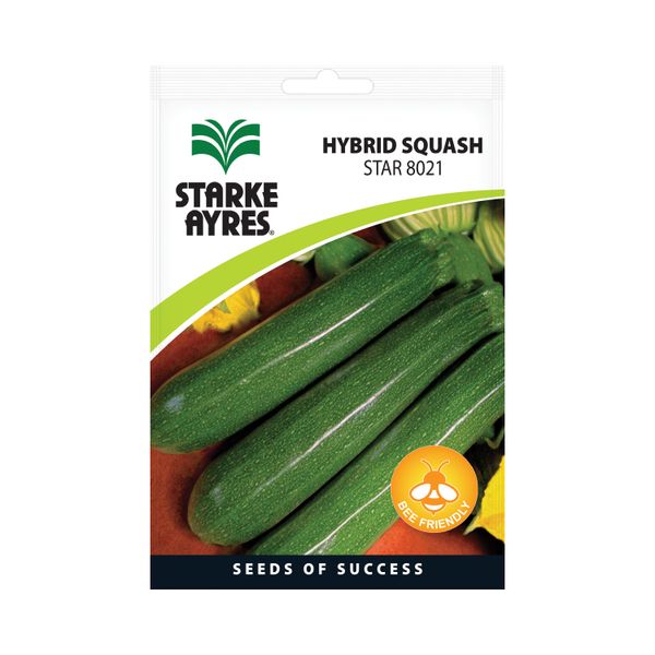 Starke Ayres Squash STAR 8021 (Zuchinni)