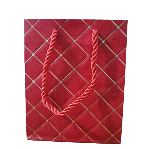 Luxury Gift Bag Small Buy Online in South Africa