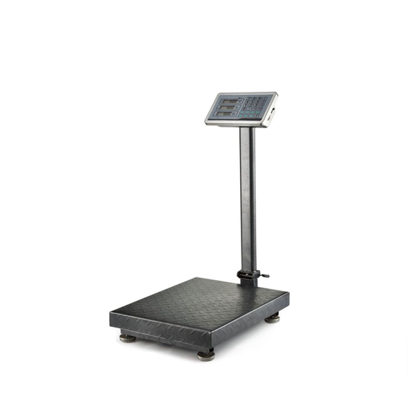 Foldable 300kg Industrial Weighing and Price Computing Scale