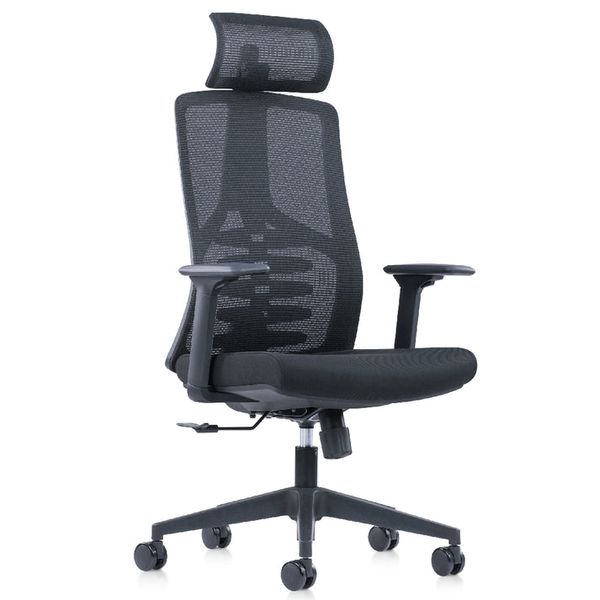 Ergo Everybody Ergonomic Chair with Headrest