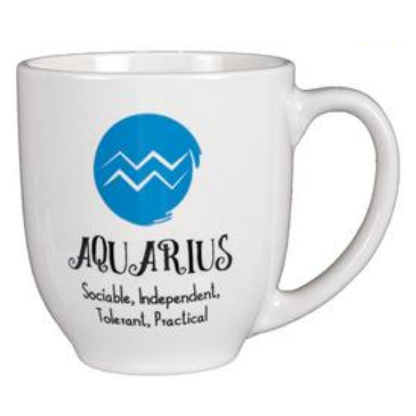SD Homeware - Aquarius Mug- (2 x 500ml)