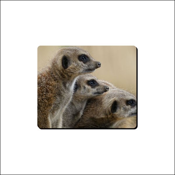 Mouse Pad -Three Meerkats