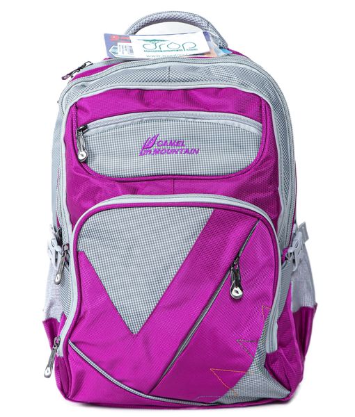 Purple / Gray image