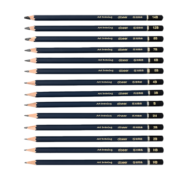 14Pcs Art Sketch Pencil Set 14B Charcoal for Studio &amp; Beginner Sketching
