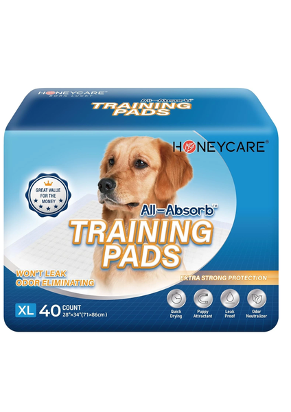 HONEY CARE All-Absorb Training Pads Extra Large