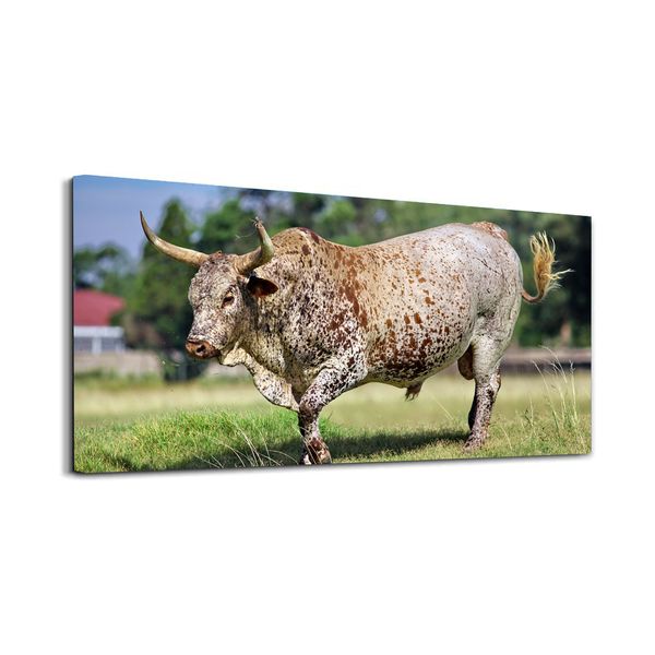 The Nguni Cattle Home D cor A1 Printed Wall Canvas
