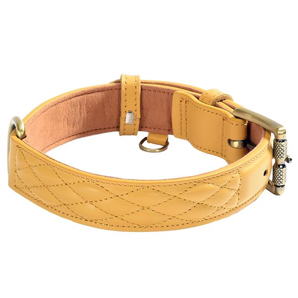 Luxury Genuine Leather Pet Collar - XS