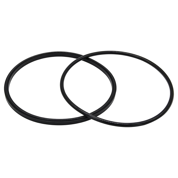 R0446200 Lid Seal Gasket &amp; O-Ring for Zodiac, Jandy JEP Pool Pumps