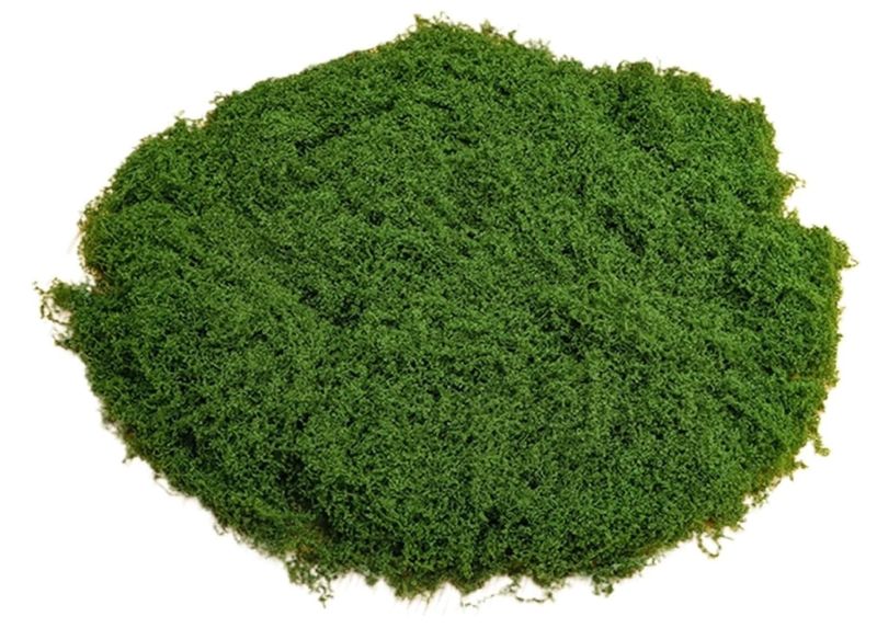 Fake Moss 50g Plastic Artificial Moss Realistic Looking Faux Moss Nutural