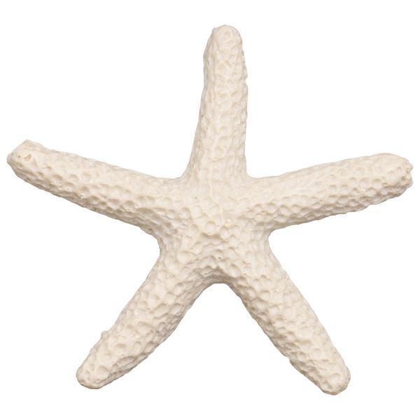15 Pieces creamy-white Pencil Finger Starfish For Wedding Décor