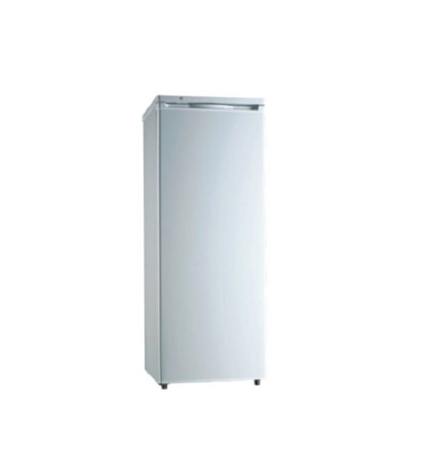 Sunbeam 250L Upright Freezer Silver Finish Buy Online in South