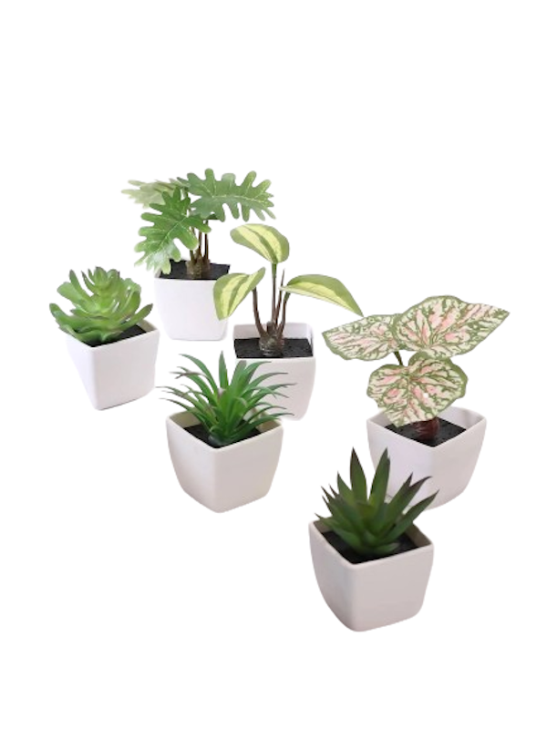 Mini Artificial Potted Plants Set of 6 Shop Today. Get it Tomorrow