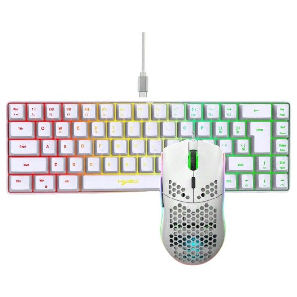 HXSJ-Wired Anti-Ghosting Keyboard &amp; Honeycomb Mouse With RGB Lighting-White