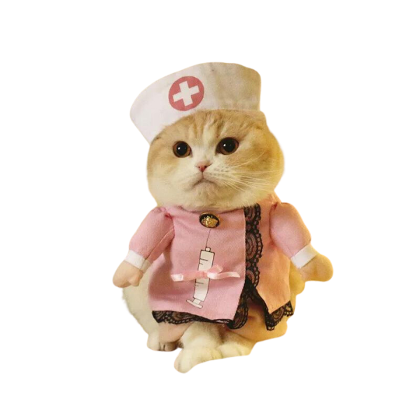 Cat Novelty clothing - nurse outfit