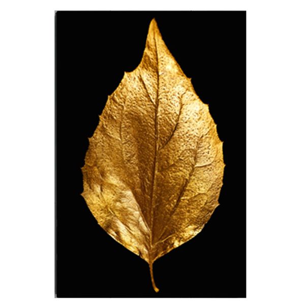 Gold, Black Cotton Canvas cm Botanical Wall Art