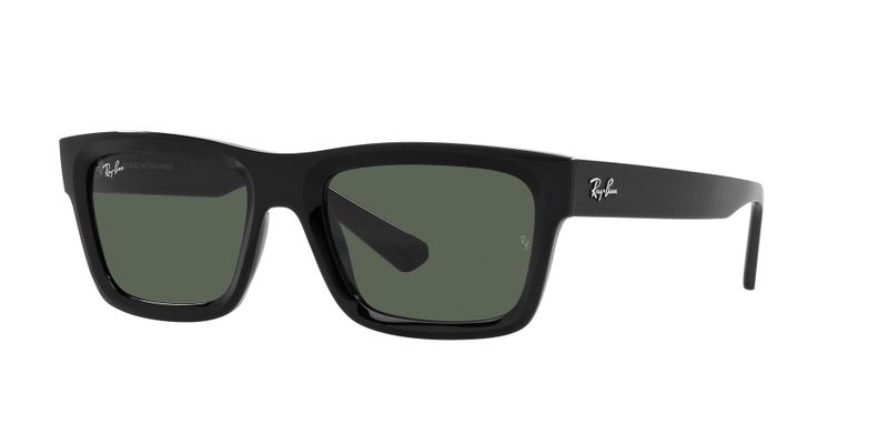 Ray-Ban Warren Sunglasses RB4396 667771 57