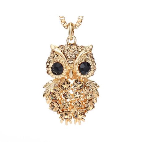 Long chain with owl on sale pendant