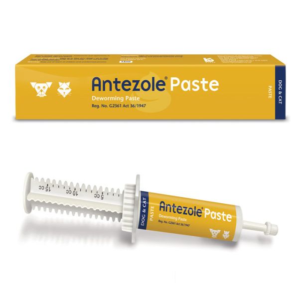 Antezole - Deworming Paste For Cats And Dogs - Pack Of 2
