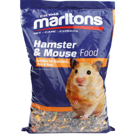 buy hamster online