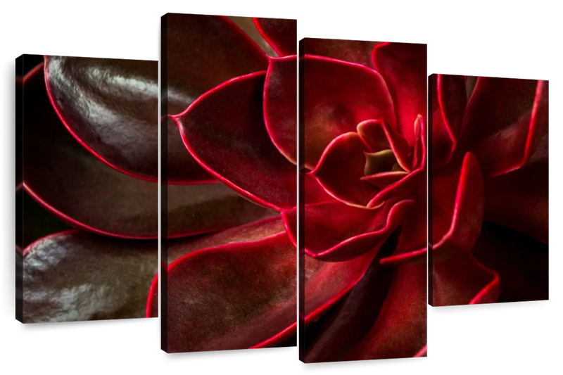 Canvas Art - Red Succulent 4 Piece Canvas Wall Art For Living Bedroom Decor