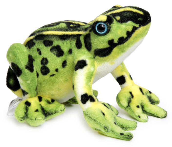 Frisco the Frog - Plush Toy